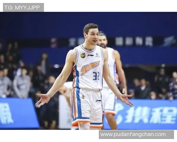 上海东方大鲨鱼与浙江广厦股票对比分析及投资前景探讨