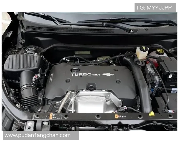 卡迪夫城与莱切斯特激战正酣谁能在这场对决中笑到最后 卡迪夫城与莱切斯特激战正酣谁能在这场对决中笑到最后