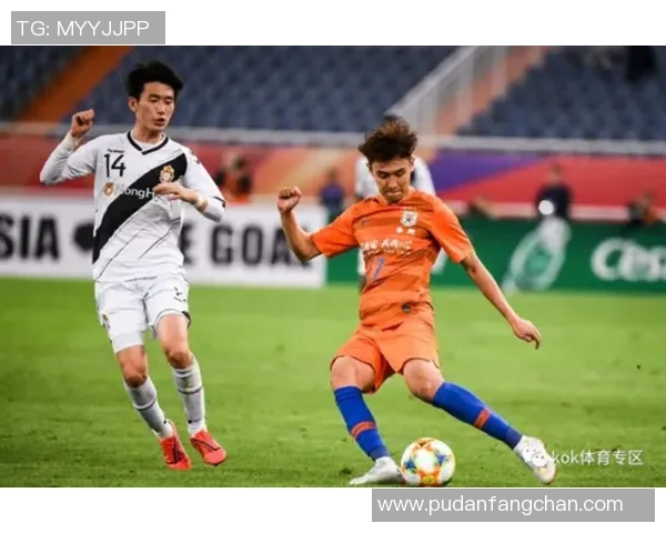 足球华城对阵安山小绿人精彩直播全程回顾与赛后分析 足球华城对阵安山小绿人精彩直播全程回顾与赛后分析