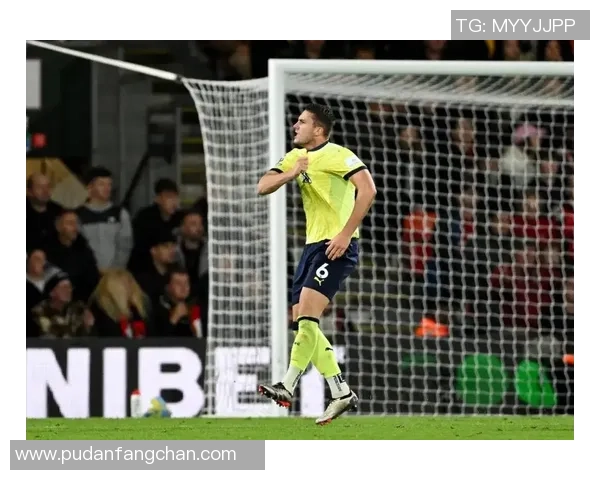 南安普顿主场迎战伯恩茅斯期待激烈对决与精彩进球