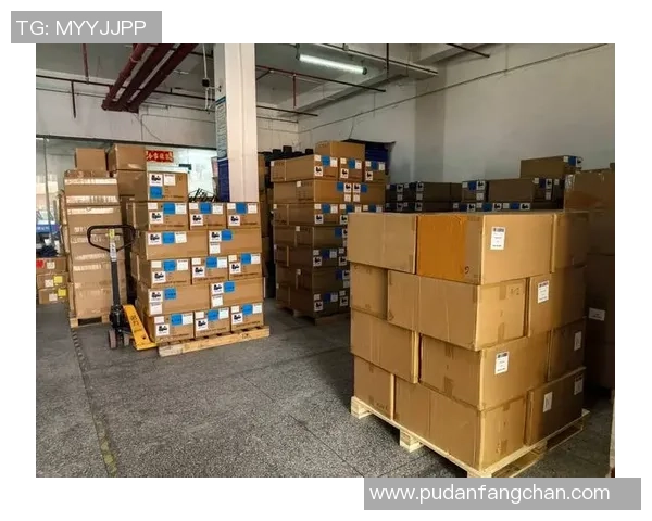 格勒诺布与斯特拉斯比赛暂停原因揭秘及后续影响分析